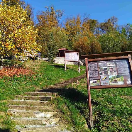 Vila Trnoruzica Тухель Экстерьер фото