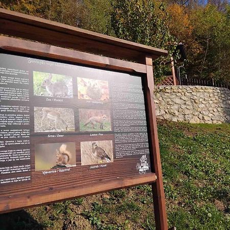 Vila Trnoruzica Тухель Экстерьер фото