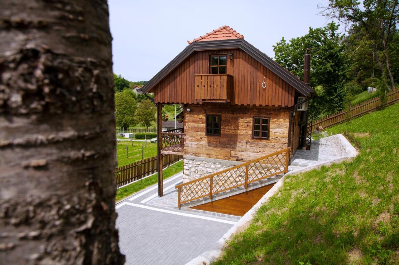 Vila Trnoruzica Тухель Экстерьер фото