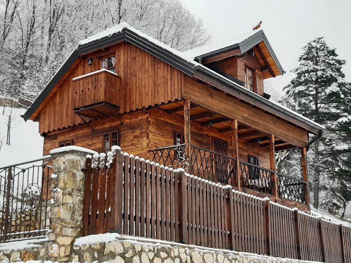 Vila Trnoruzica Тухель Экстерьер фото